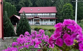 Vacation Villa Sucevita