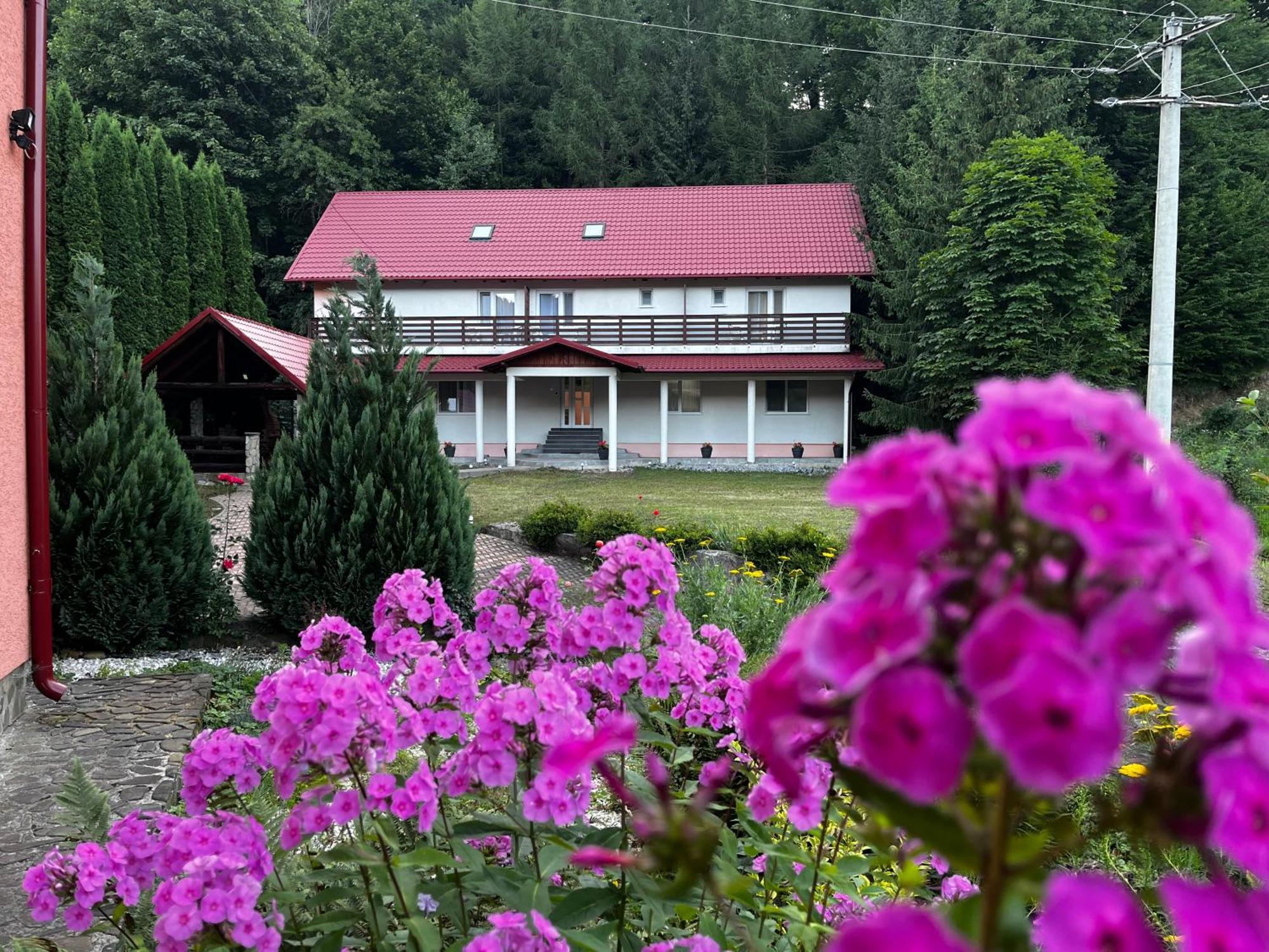 Vacation Villa Sucevita Exterior foto
